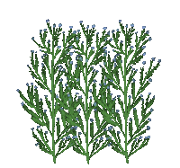 Grass Sticker