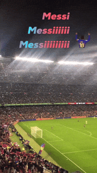 Football Fans GIF