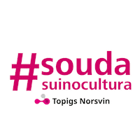 TopigsNorsvin topigs duroc tn70 topigs norsvin Sticker