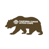 Ccac Sticker by California Volunteers