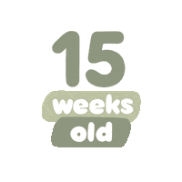Baby Age Sticker by westeggpress