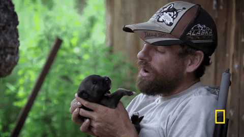 life below zero GIF by National Geographic Channel