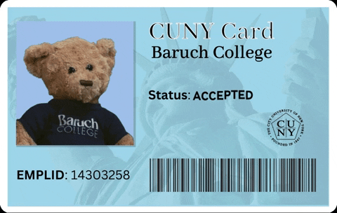 baruch_admission giphygifmaker teddy class of admissions GIF