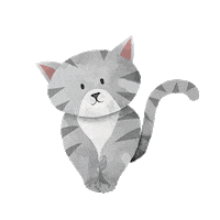 cat kitty Sticker by Cosmed Cosmeceuticals