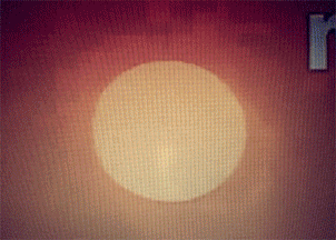 animation text GIF by Ryan Seslow