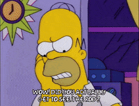 homer simpson GIF