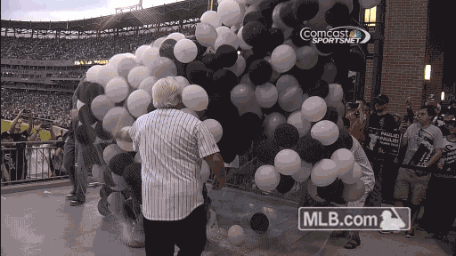 cws GIF by MLB
