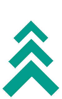 Christmas Tree Sticker by Total Creation