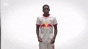 Happy Move Your Body GIF by FC Red Bull Salzburg