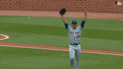 Happy Ny Mets GIF by New York Mets