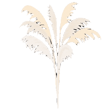 Pampas Grass Pink Sticker by MissBeaut