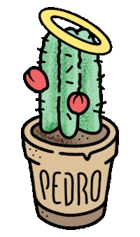 hangertips cactus pedro sanpedro Sticker