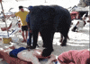 massage GIF