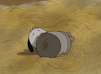 time night GIF
