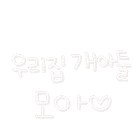 호동호동 Sticker