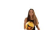 Roberts Volleyvall Sticker by Tennessee Tech Athletics