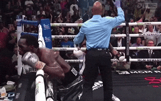 Terence Bud Crawford!