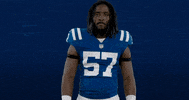 Lets Go Nfl GIF by Indianapolis Colts