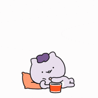 고양이 Ok GIF