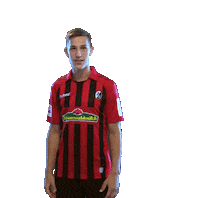 sc freiburg celebration Sticker by SCF