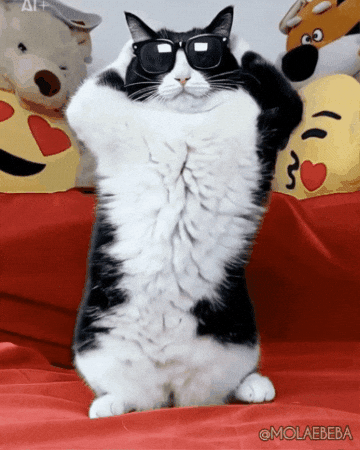 Happy Dance GIF