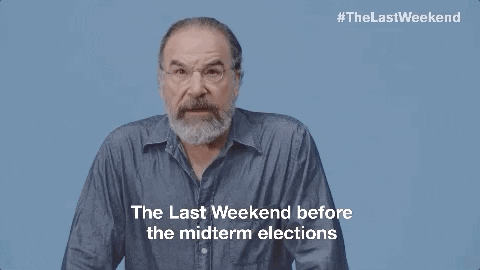 midterm elections america GIF by Swing Left