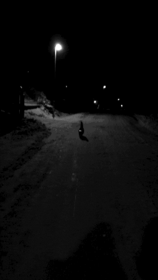 eyes darkness GIF