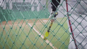 nuskin baseball softball nuskin nu skin GIF
