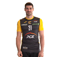 Belchatow Sticker by PGE Skra Bełchatów