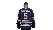 Ice Hockey Sticker by Fehervar AV19
