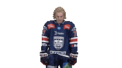 Hockey Vertes Sticker by Fehervar AV19
