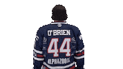 Ice Hockey Sport Sticker by Fehervar AV19
