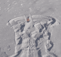 Snow Wolf GIF by Gabriel