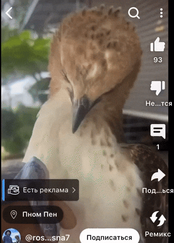 eruewyrigsafigsifgsifjgb giphyupload GIF