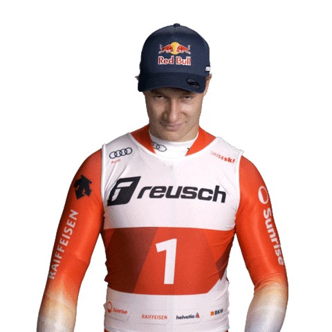 Reusch_Winter giphyupload reusch marcoodermatt worldcupwarriors Sticker