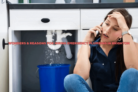 flplumbingheating giphygifmaker plumbing services in brighton heating services in brighton emergency plumbing in brighton GIF