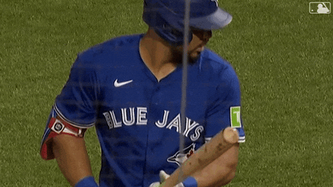 Excuse Me Mlb GIF by Toronto Blue Jays