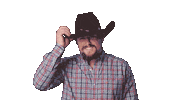 Cowboy Sticker by INSP