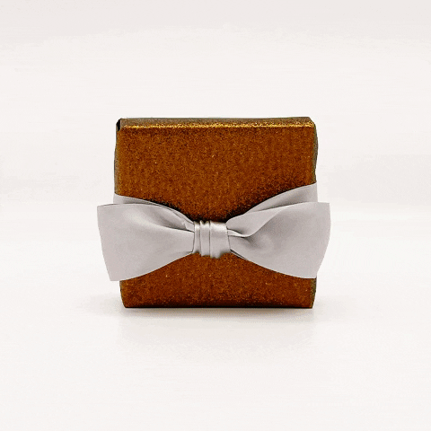 tbianchini giphygifmaker GIF