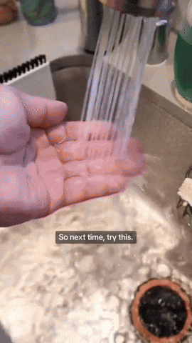 comment-economiser giphyupload GIF