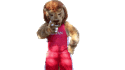 BryanCollege mascot disappointed shaking head head shake Sticker