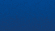 Bourg En Bresse Win GIF by Football Bourg-en-Bresse Péronnas 01