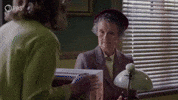 Confused Season 14 GIF by PBS