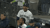 Happy Major League Baseball GIF by MLB