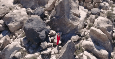 burgerrecords mattiel whites of their eyes GIF