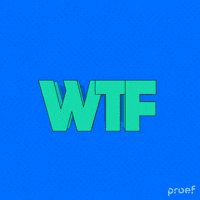 What The Wtf GIF by Proef