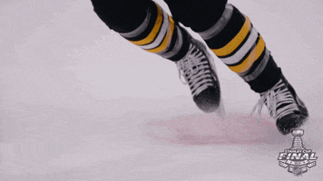 skating ice hockey GIF by NHL
