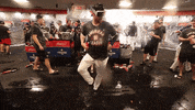 Happy Dance GIF by MLB