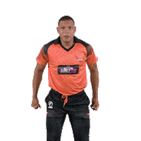 sunriserseasterncape cricket sec sunrisers sa20 Sticker