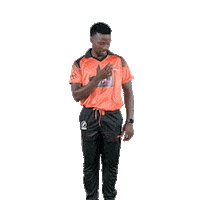 sunriserseasterncape cricket sec aya sunrisers Sticker